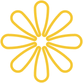 Expert Solutions for Corporate  Financial Success. - C7娱乐体育APP