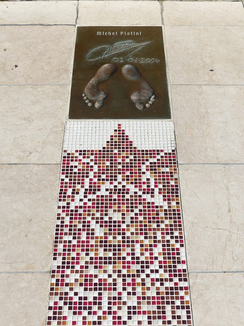 仅体现了她 仅体现了她