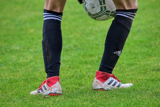 赵心童和古 赵心童和古