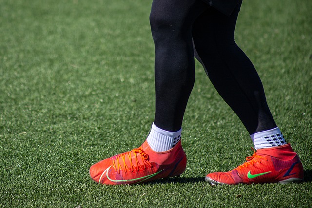 示范作用 示范作用