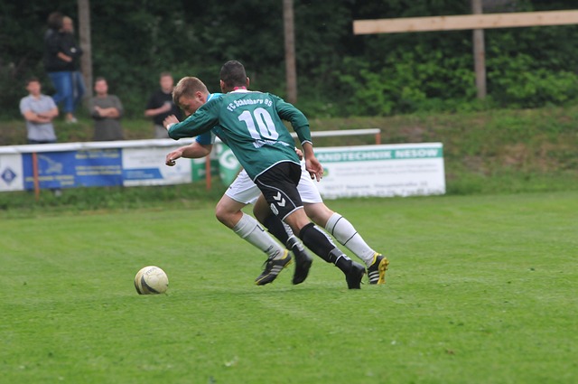 的示范效应 的示范效应