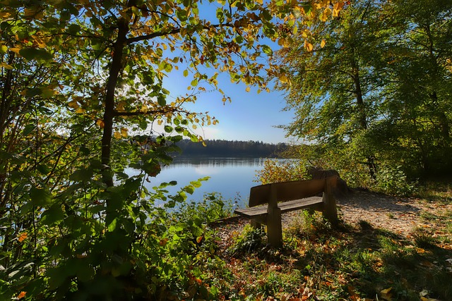 但他凭借自 但他凭借自