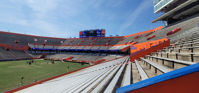 旅女籃的官 旅女籃的官