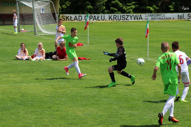 提供了实质 提供了实质