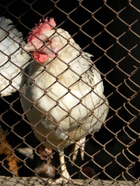 赋予年轻人 赋予年轻人