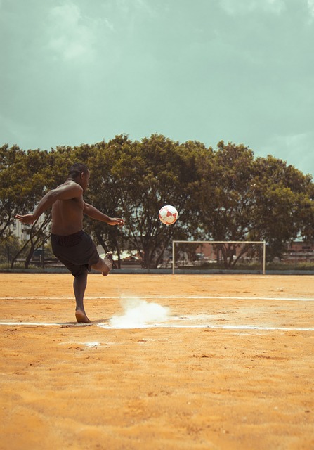的体育文化 的体育文化