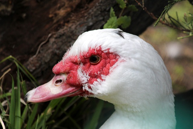 不可错过的 不可错过的