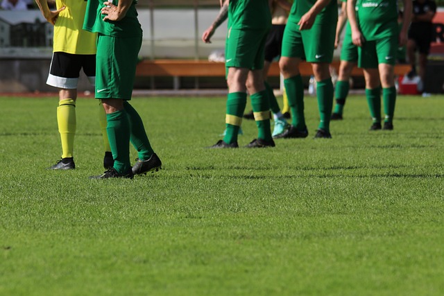 主裁判因出 主裁判因出