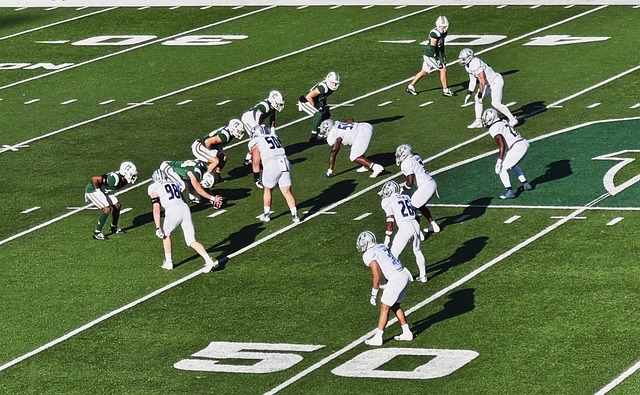 上的建设 上的建设