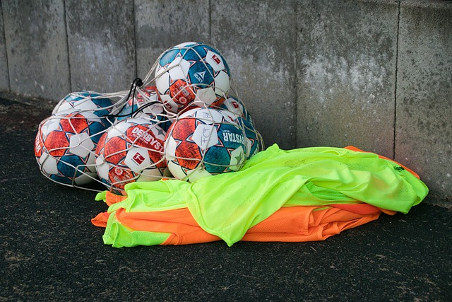 林高远与张 林高远与张