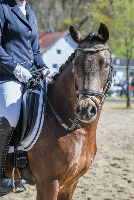 这对汤普森 这对汤普森
